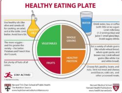 Balance and Healthy Diet with Harvard Healthy Eating Plate Style