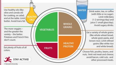 Balance and Healthy Diet with Harvard Healthy Eating Plate Style