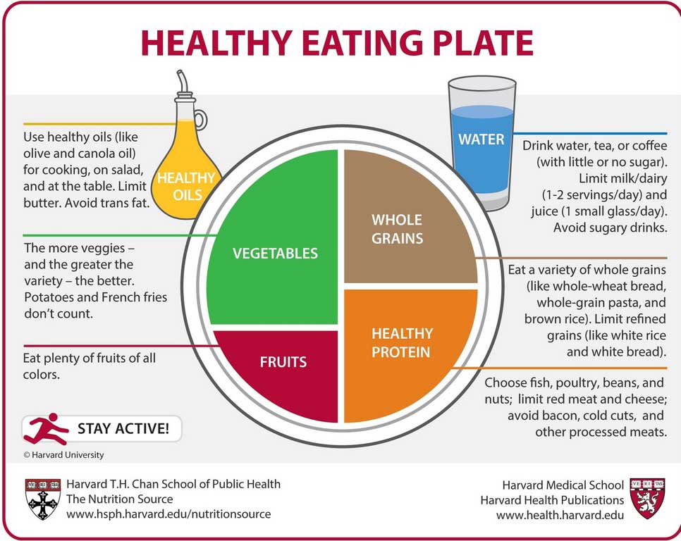 Balance and Healthy Diet with Harvard Healthy Eating Plate Style