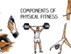 Physical Fitness Components You Should Apply for Healthy Life