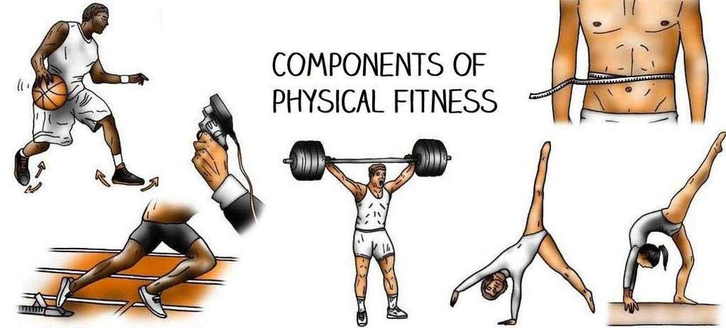 5 Essentials Physical Fitness Components You Should Apply for Healthy Life