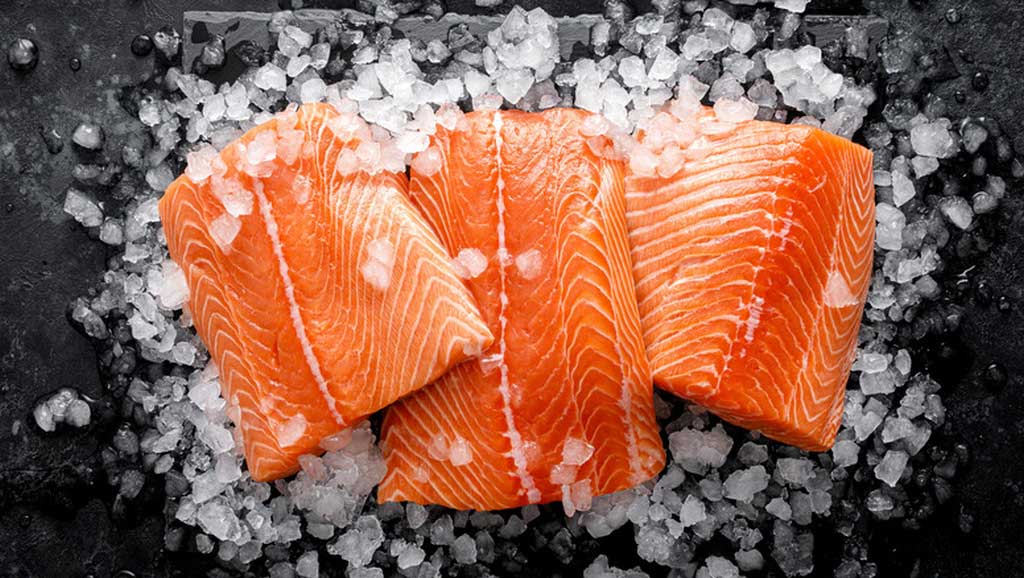 Delicious Weight Loss Foods Recipes to Support Your Diet