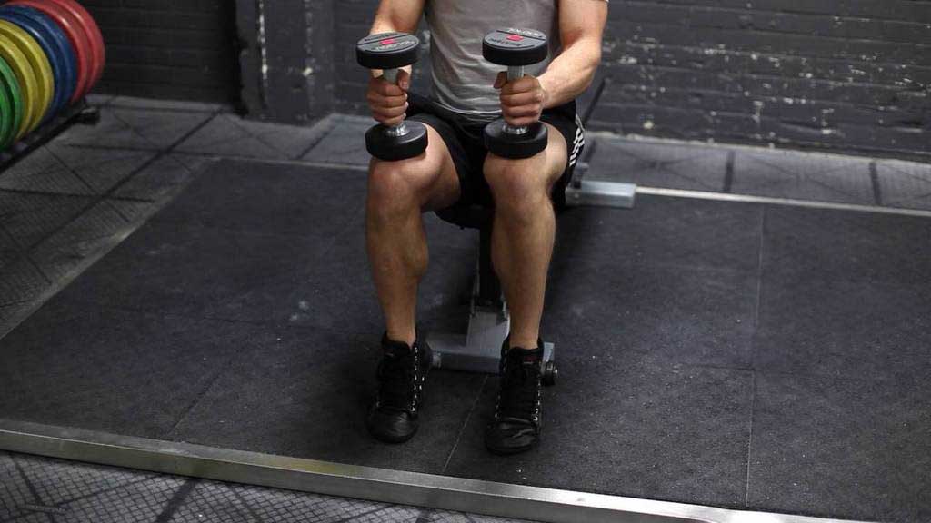Dumbbell Leg Exercises - All You Need to Know About It